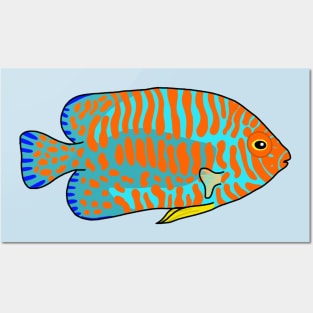 Hawaii Potters Angelfish Posters and Art